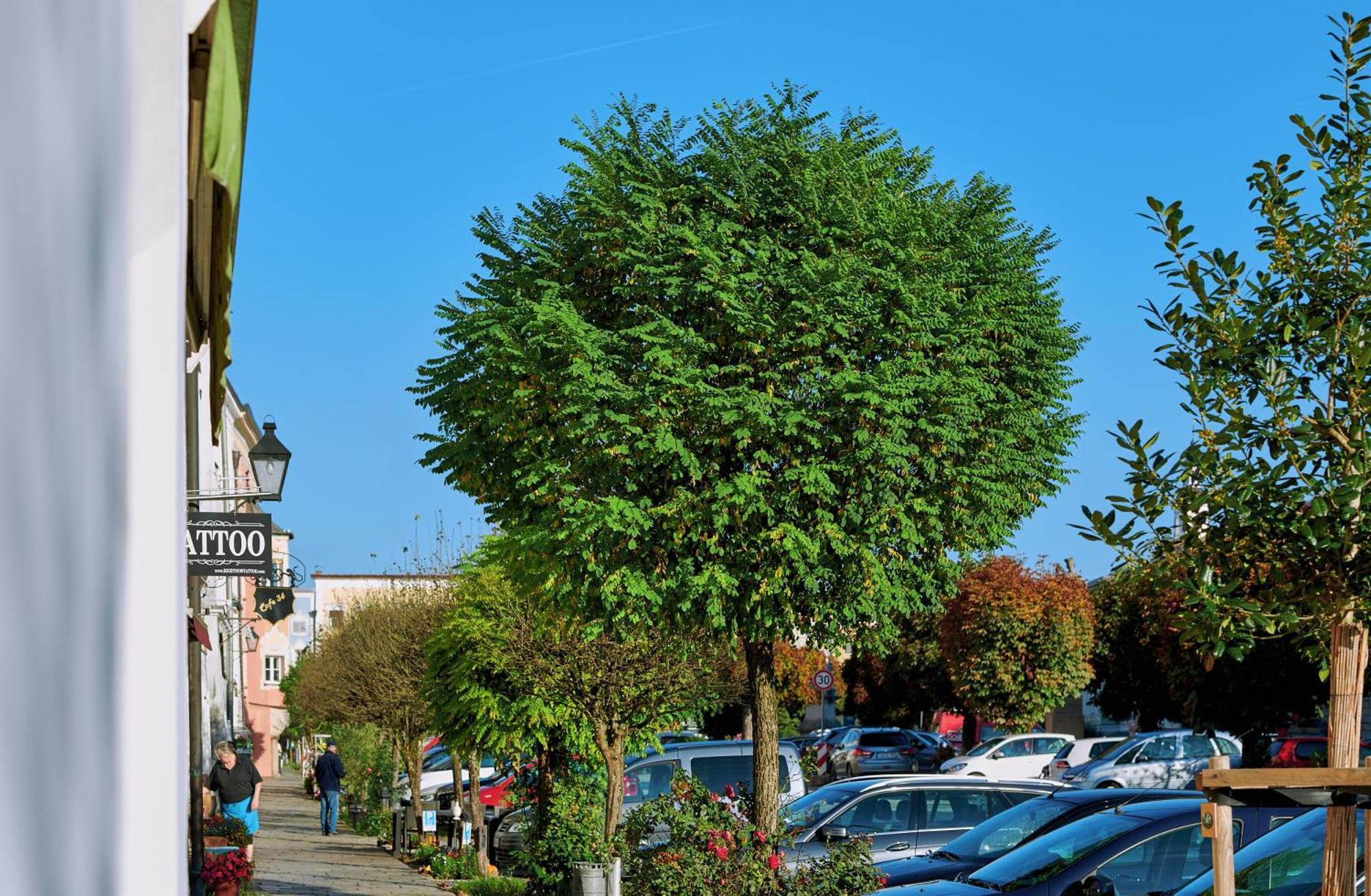 Ferienwohnung Tittmoning Zwischen Salzburg, Burghausen Und Oesterreich Экстерьер фото